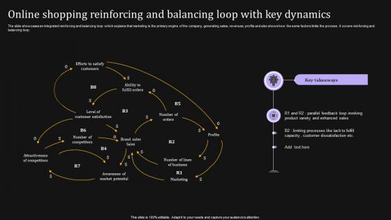 Online Shopping Reinforcing And Balancing Loop With Key Dynamics