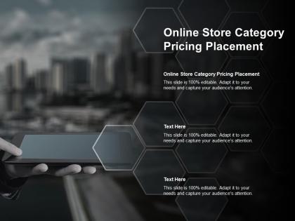 Online store category pricing placement ppt powerpoint presentation slides designs download cpb