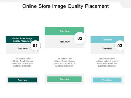 Online store image quality placement ppt powerpoint presentation ideas good cpb