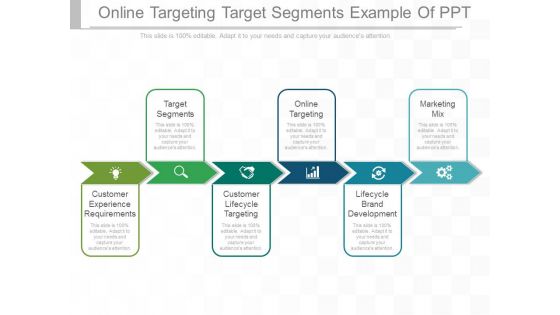 Online targeting target segments example of ppt