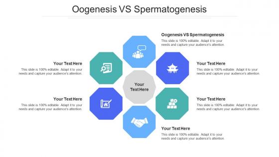Oogenesis vs spermatogenesis ppt powerpoint presentation summary visual aids cpb