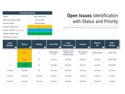 Open issues identification with status and priority