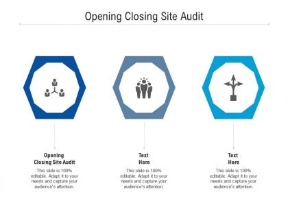 Opening closing site audit ppt powerpoint presentation professional infographic template cpb