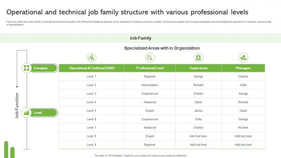 Operational And Technical Job Family Structure With Various Professional Levels