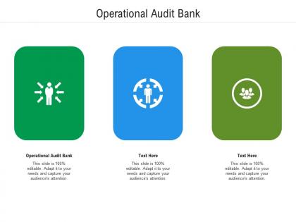 Operational audit bank ppt powerpoint presentation visual aids portfolio cpb