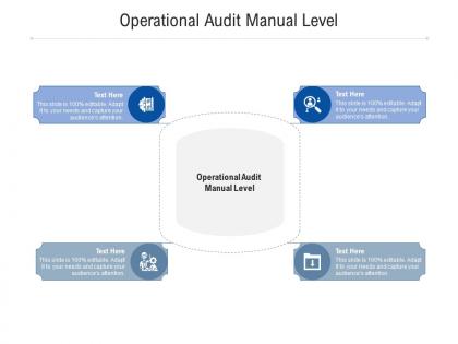 Operational audit manual level ppt powerpoint presentation pictures slides cpb