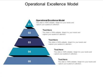 Operational excellence model ppt powerpoint presentation slides example topics cpb