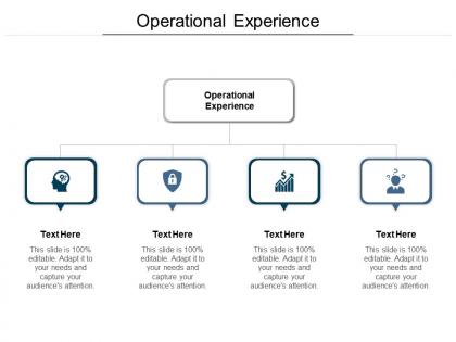 Operational experience ppt powerpoint presentation ideas display cpb