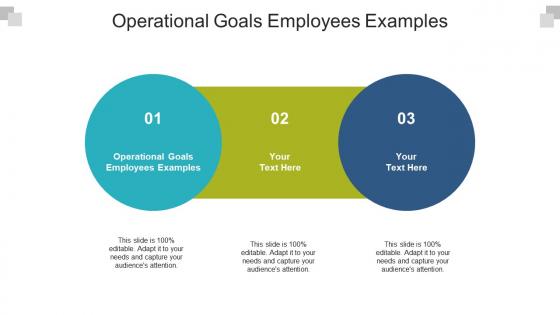 Operational goals employees examples ppt powerpoint presentation gallery grid cpb