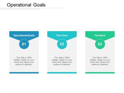 Operational goals ppt powerpoint presentation icon styles cpb