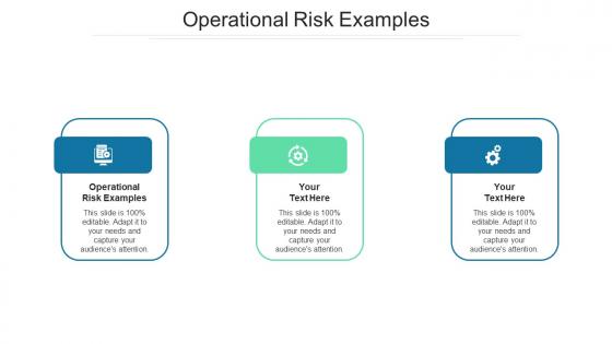 Operational risk examples ppt powerpoint presentation styles display cpb