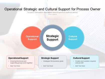 Operational strategic and cultural support for process owner