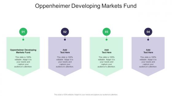 Oppenheimer Developing Markets Fund In Powerpoint And Google Slides Cpb