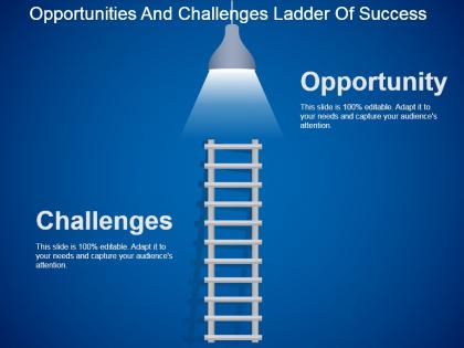 Opportunities and challenges ladder of success powerpoint slide