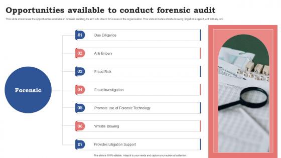 Opportunities Available To Conduct Forensic Audit