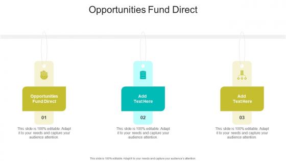 Opportunities Fund Direct In Powerpoint And Google Slides Cpb