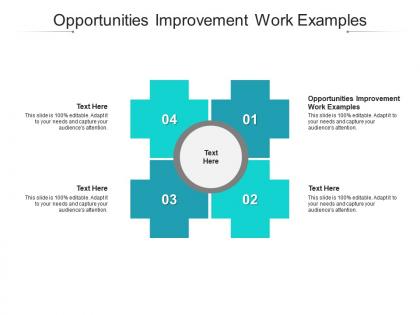 Opportunities improvement work examples ppt powerpoint presentation portfolio slide portrait cpb
