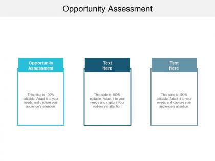 Opportunity assessment ppt powerpoint presentation icon backgrounds cpb