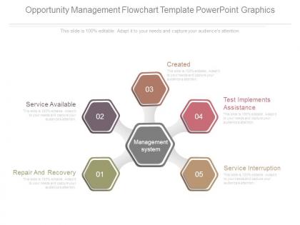 Opportunity management flowchart template powerpoint graphics