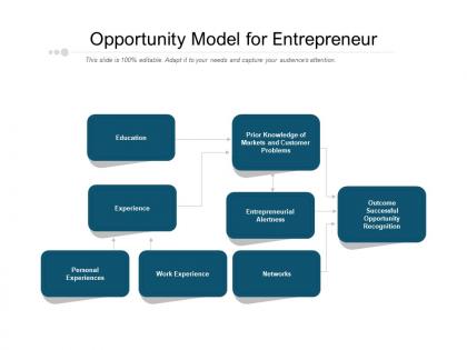 Opportunity model for entrepreneur