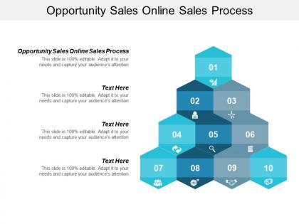 Opportunity sales online sales process ppt powerpoint presentation styles show cpb