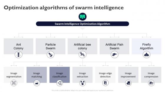 Optimization Algorithms Of Swarm Intelligence Swarm Intelligence For Business AI SS