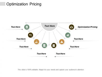 Optimization pricing ppt powerpoint presentation show cpb
