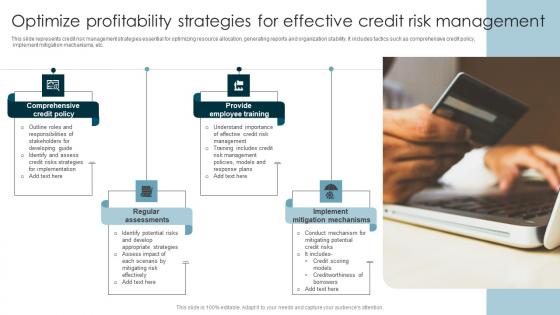 Optimize Profitability Strategies For Effective Credit Risk Management
