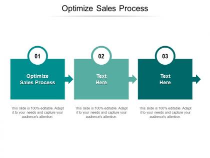 Optimize sales process ppt powerpoint presentation show icons cpb