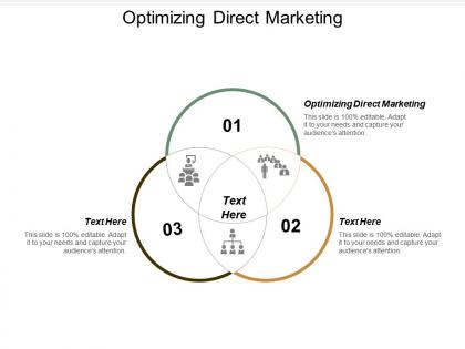 Optimizing direct marketing ppt powerpoint presentation gallery show cpb