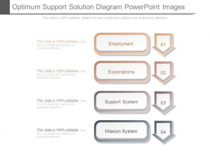 Optimum support solution diagram powerpoint images