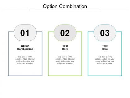 Option combination ppt powerpoint presentation outline guidelines cpb