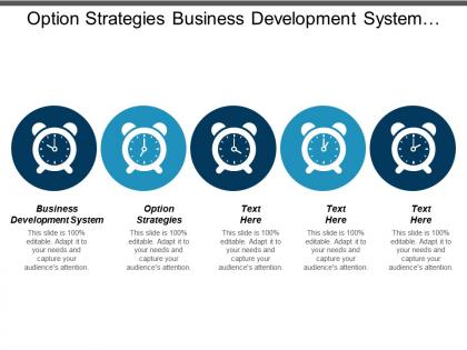 Option strategies business development system strategic planning portfolio strategy cpb