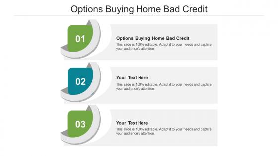 Options buying home bad credit ppt powerpoint presentation file templates cpb
