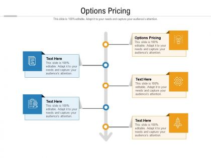 Options pricing ppt powerpoint presentation slides introduction cpb