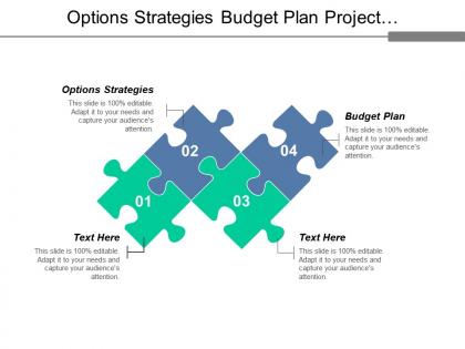 Options strategies budget plan project management employment assessment cpb