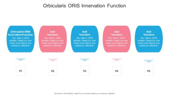 Orbicularis Oris Innervation Function In Powerpoint And Google Slides Cpb