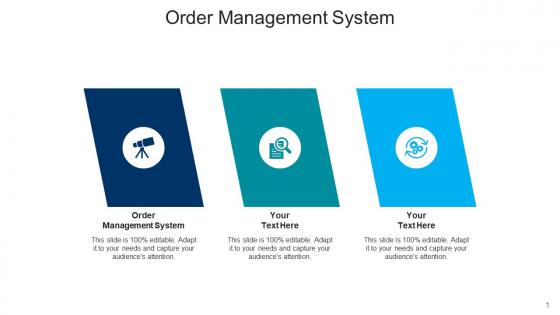 Order management system ppt powerpoint presentation file professional cpb