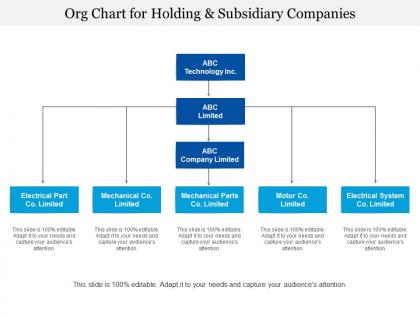 Org chart for holding and subsidiary companies