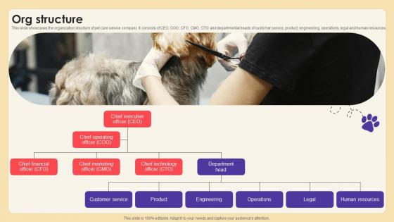 Org Structure Animal Care Service Provider Investor Funding Elevator Pitch Deck