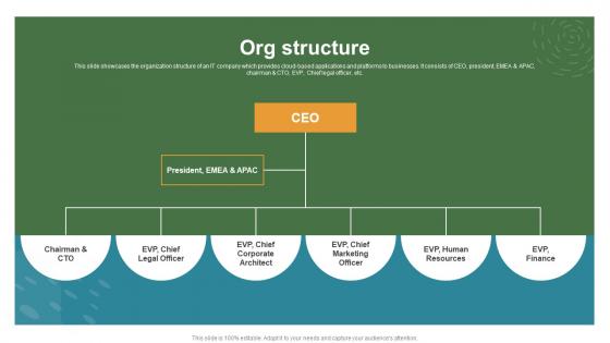 Org Structure Oracle Investor Funding Elevator Pitch Deck