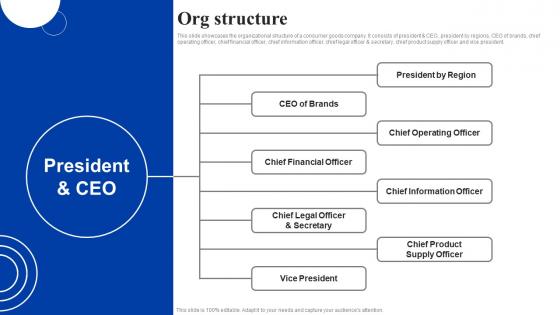 Org Structure Procter And Gamble Investor Funding Elevator Pitch Deck