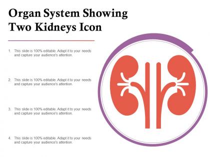 Organ system showing two kidneys icon