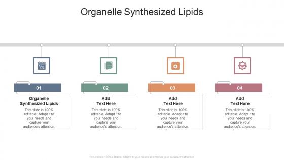 Organelle Synthesized Lipids In Powerpoint And Google Slides Cpb