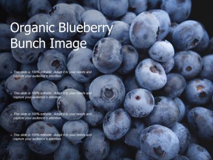 Organic blueberry bunch image