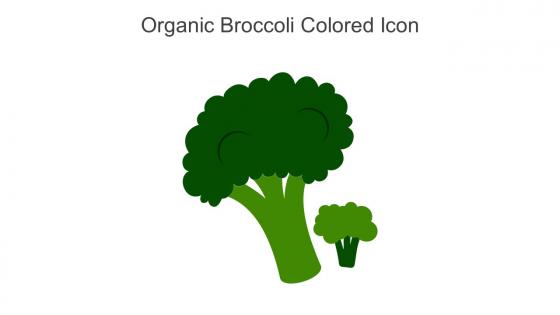Organic Broccoli Colored Icon In Powerpoint Pptx Png And Editable Eps Format