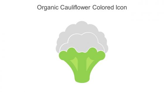 Organic Cauliflower Colored Icon In Powerpoint Pptx Png And Editable Eps Format