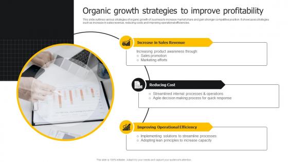 Organic Growth Strategies To Improve Profitability Developing Strategies For Business Growth