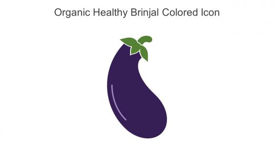 Organic Healthy Brinjal Colored Icon In Powerpoint Pptx Png And Editable Eps Format
