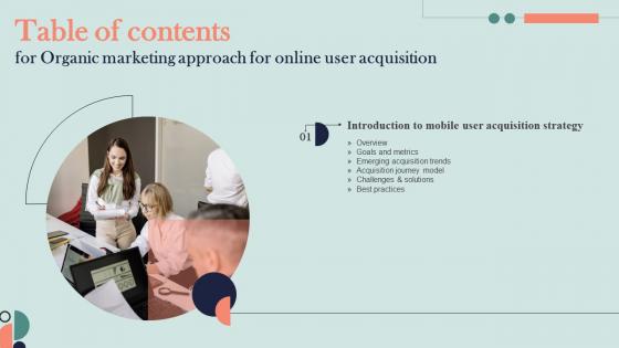 Organic Marketing Approach For Online User Acquisition Table Of Contents